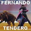 La valent&iacute;a de un gran Torero